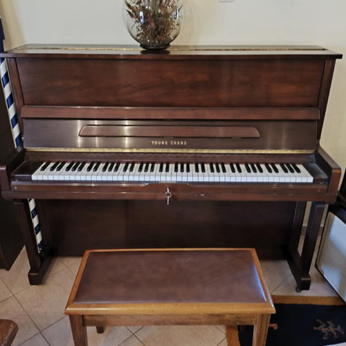 Young Chang piano used