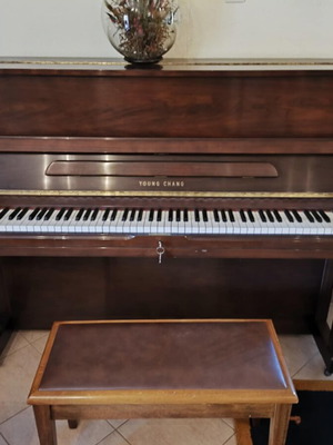 Young Chang piano used