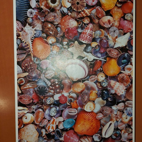 Piatnik Seashells 1000-piece puzzle