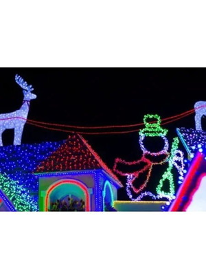 Light rope cold color 6m with programs