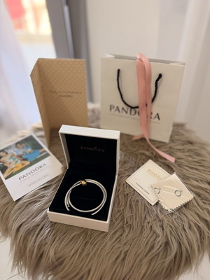 Pandora necklace silver and gold