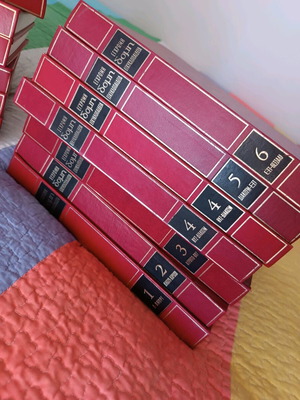 Domi Encyclopedias used, 15 volumes and 3 volumes dictionary