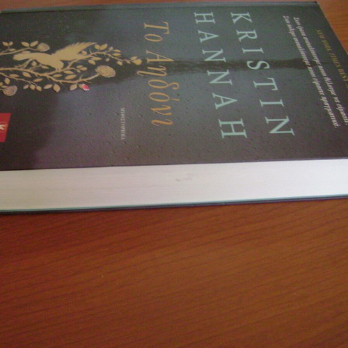 To Aidoni by Kristin Hannah novel