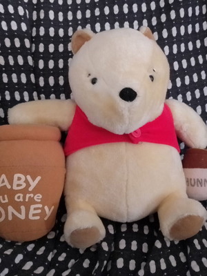 Winnie the Pooh plush 24cm like new