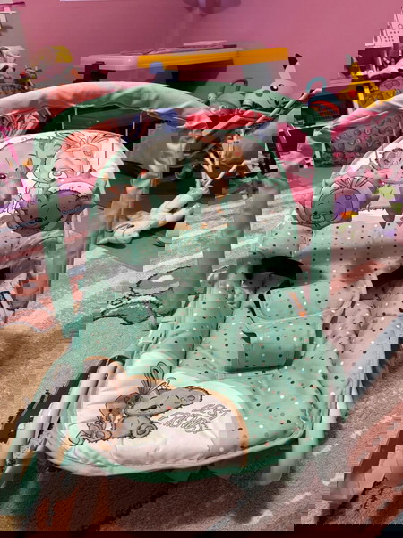 Ριλαξ-Κούνια Loreli