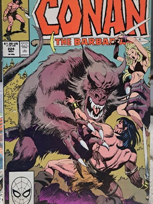 Conan the Barbarian #224 Marvel Comics used 1989