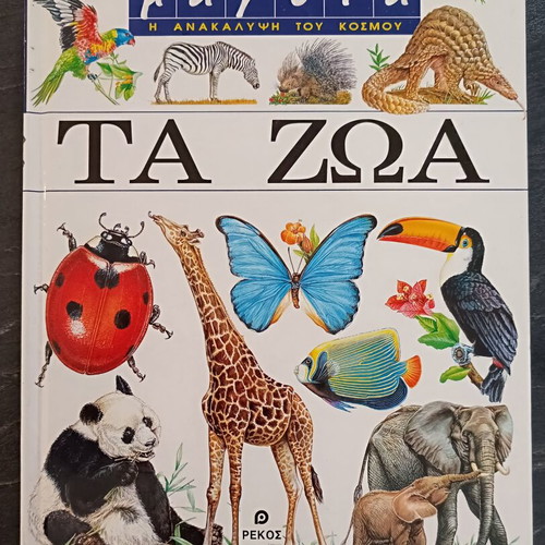 Magic The Discovery of the World The Animals children's book like new