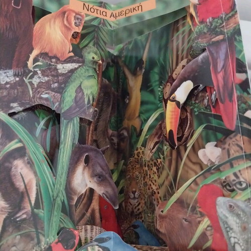 Animals book-carousel like new, Savvalas editions