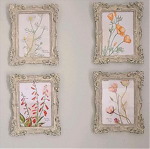 Πίνακες ζωγραφικής με νερομπογιές Watercolor botanicals / florals