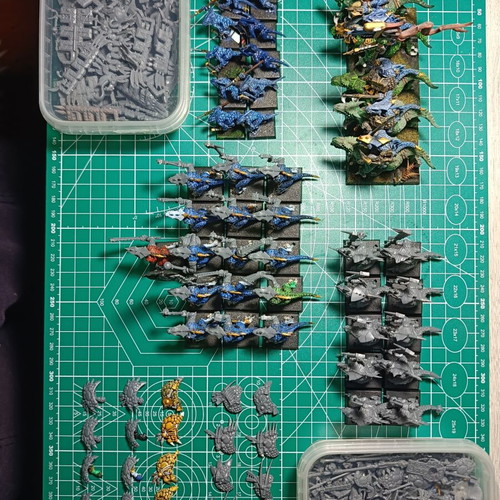 Seraphon Lizardmen Army like new with huge bits box for Warhammer