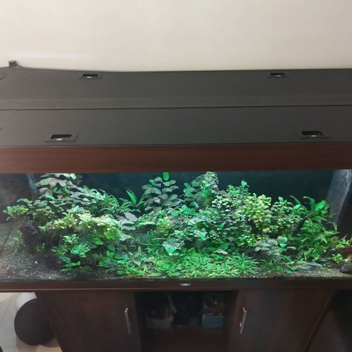 Juwel Rio 450 aquarium like new with cabinet