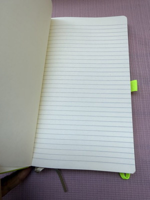 Lined notebook with cover defect