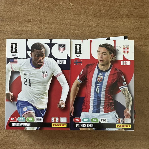 Panini Cards FIFA World Cup bundle like new, 118 cards