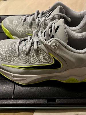 Nike Giannis Immortality 4 basketball kids sneakers like new, gray size 39
