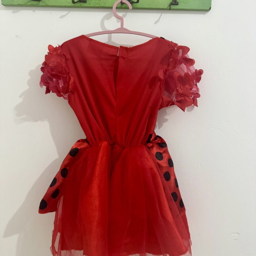 Ladybug carnival costume like new, includes dress, headband, belt, wings, 3-4 years