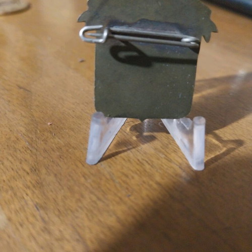 Scout pin used