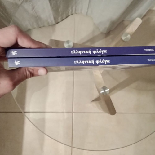 Greek Flame two-volume work like new, Nikos Gatzogiannis