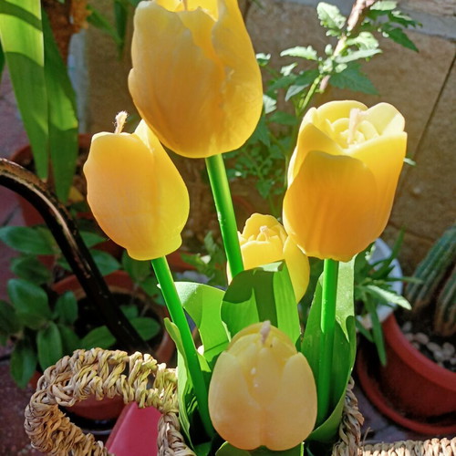 Tulips candles handmade bouquet in wooden vase new