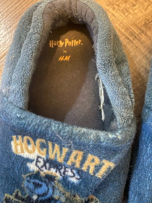 Harry Potter slippers