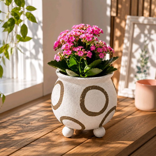 Ceramic Iliadis planter new, modern minimal design, white with brown circles