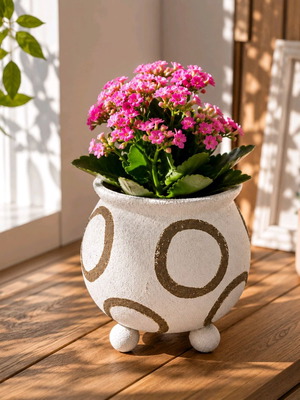 Ceramic Iliadis planter new, modern minimal design, white with brown circles