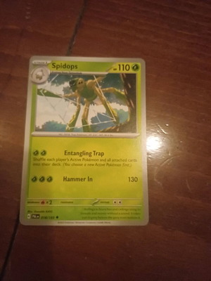 Pokemon card new