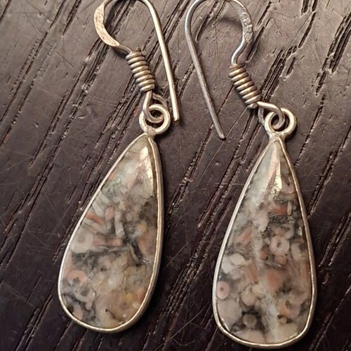 Fossil Crinoid Earrings silver plated 925 new