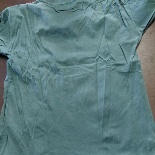 Zara T Shirt 11-12 Years 152 cm Like New, Green
