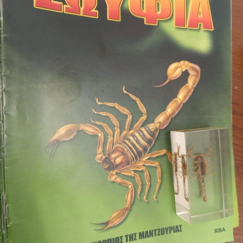 Real insects used, in very good condition