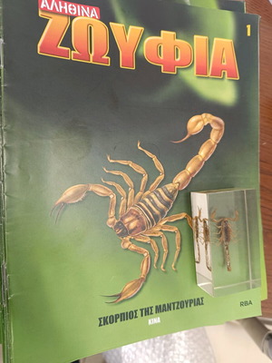 Real insects used, in very good condition