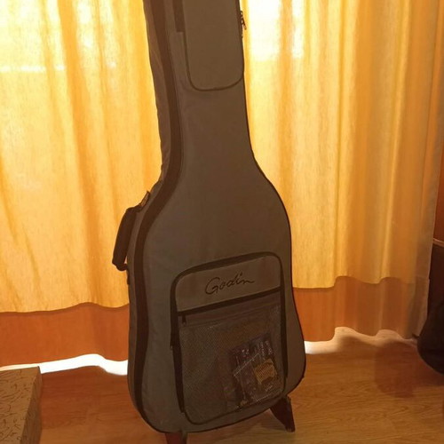 Godin A5 Bass Ultra Fretless Natural like new