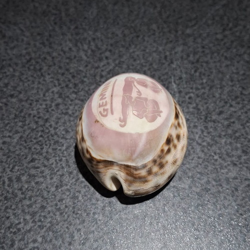 Tiger Cowrie shell used, handcarved Gemini zodiac decoration
