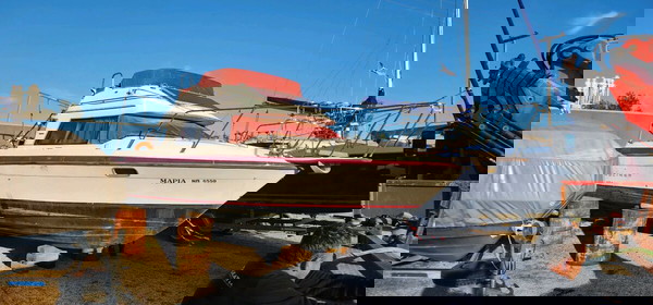 baylayner 2556 ciera flighbridge
