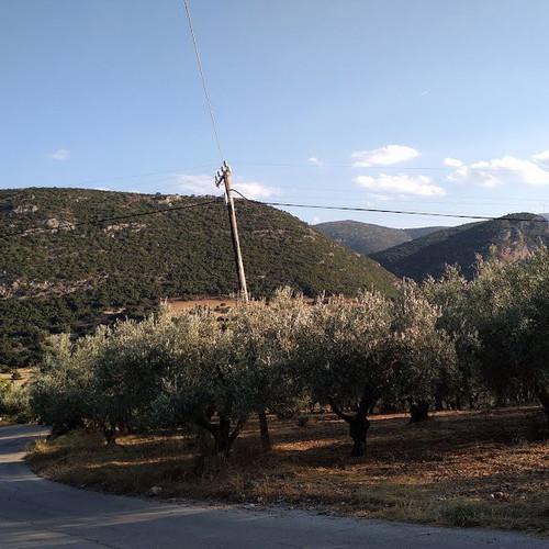Olive Grove Plots 3,000 m² in Zogka Argolida