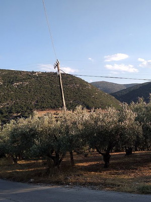 Olive Grove Plots 3,000 m² in Zogka Argolida