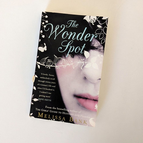 The Wonder Spot by Melissa Bank used English book
