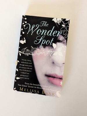 The Wonder Spot by Melissa Bank used English book