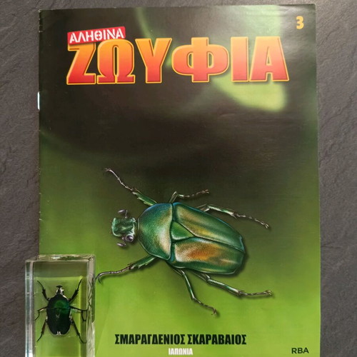 Alithina Zoyfia Issue 3 used