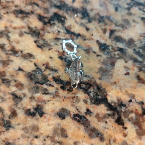 Pandora charm