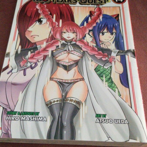 Fairy Tail 100 Years Quest Vol 14 new, English