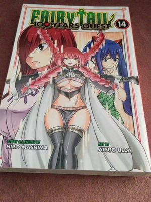 Fairy Tail 100 Years Quest Vol 14 new, English