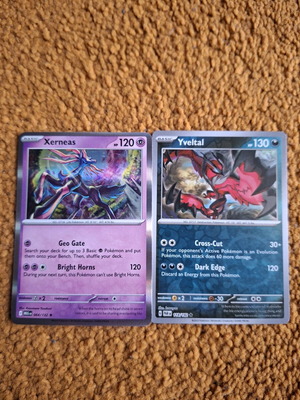 Pokemon TCG card pack Xerneas and Yveltal new