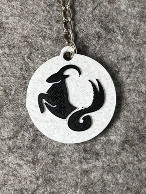 Zodiac Keychain 3D Printed new with NFC option