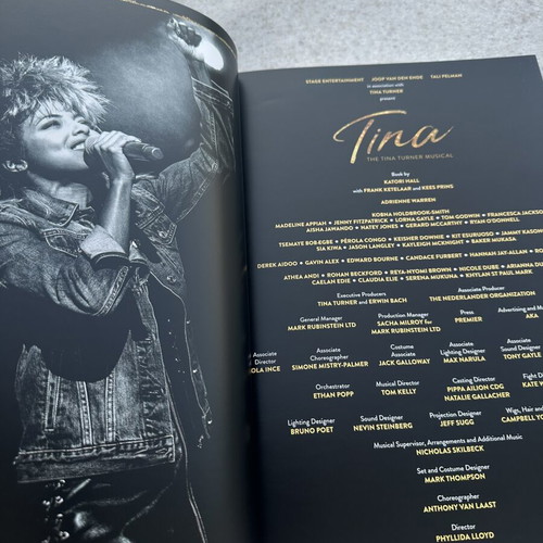 The Tina Turner Musical souvenir program like new