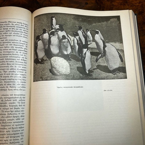 Encyclopedia O Bios ton Zoon like new, 750 pages, Eleftheroudakis