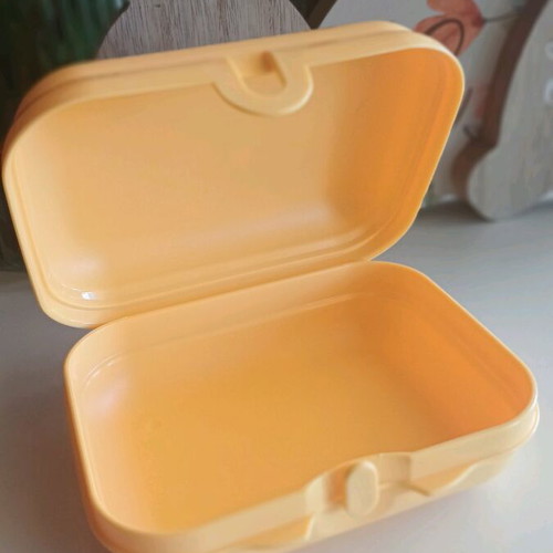 Tupperware Medium Twin new