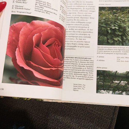Garden encyclopedia, detailed guide to popular garden plants