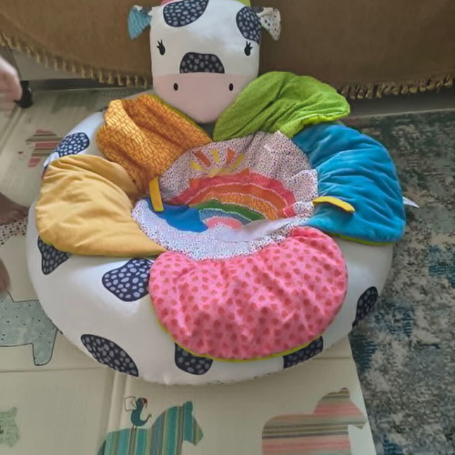 Baby nest Blossom Farm Sit Me Up Cosy like new