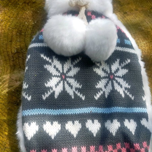 Winter hat used with fluffy pom-poms