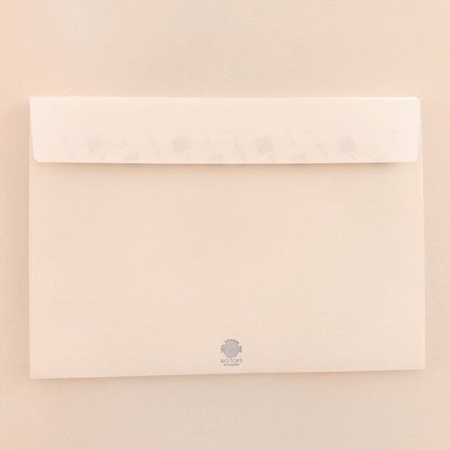Envelopes 23x16.5cm pack of 10 like new
